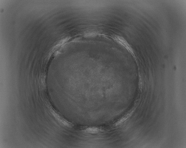 X0000067890441200604271830