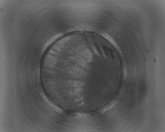 X0000067890442200604271831