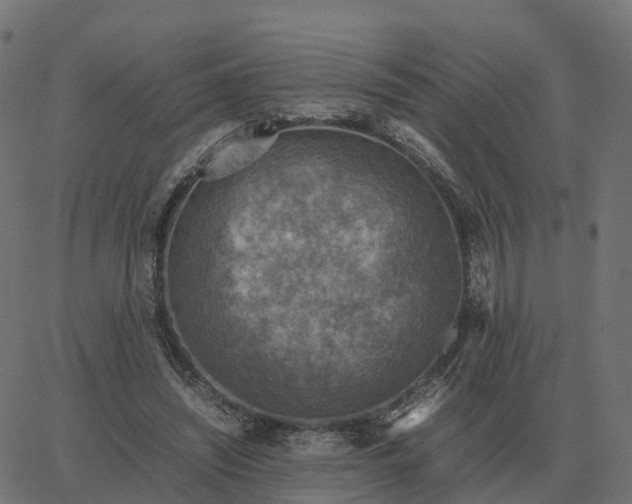 X0000067890444200604271831