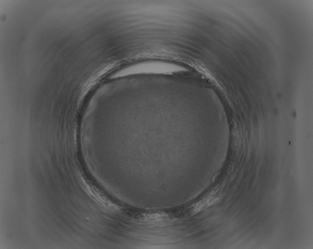 X0000067890446200604271831