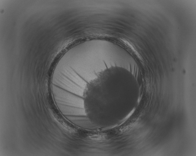 X0000067890447200604271831