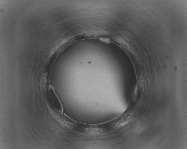 X0000067890448200604271831