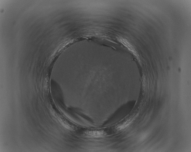 X0000067890449200604271831