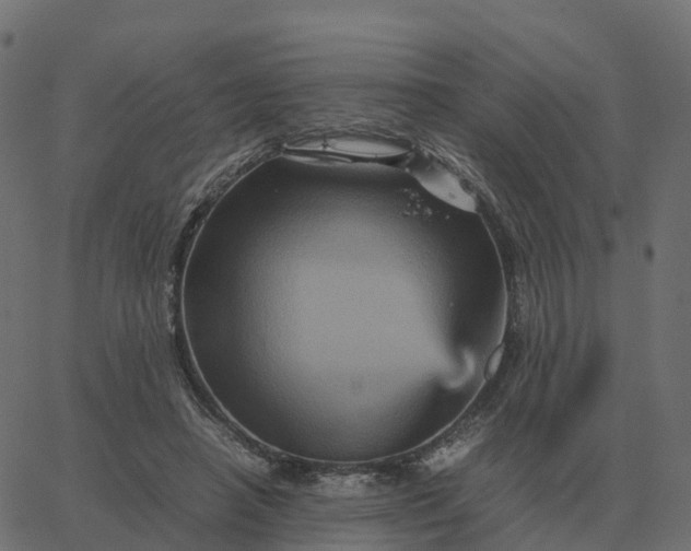 X0000067890450200604271831