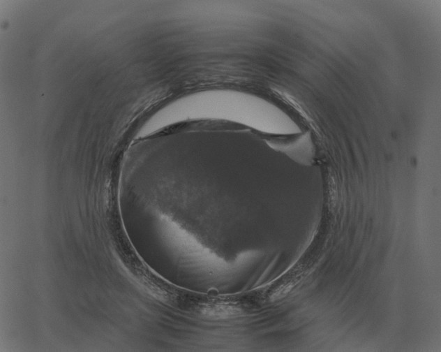 X0000067890451200604271831