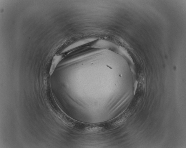 X0000067890452200604271831