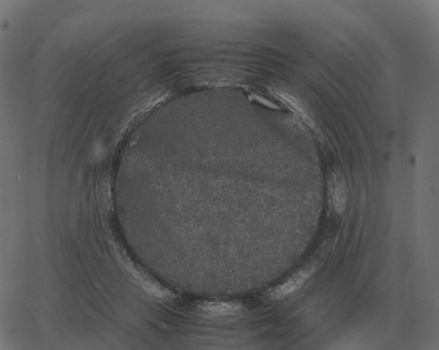 X0000067890453200604271831