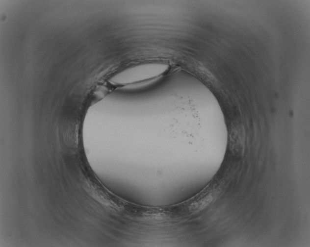 X0000067890454200604271831