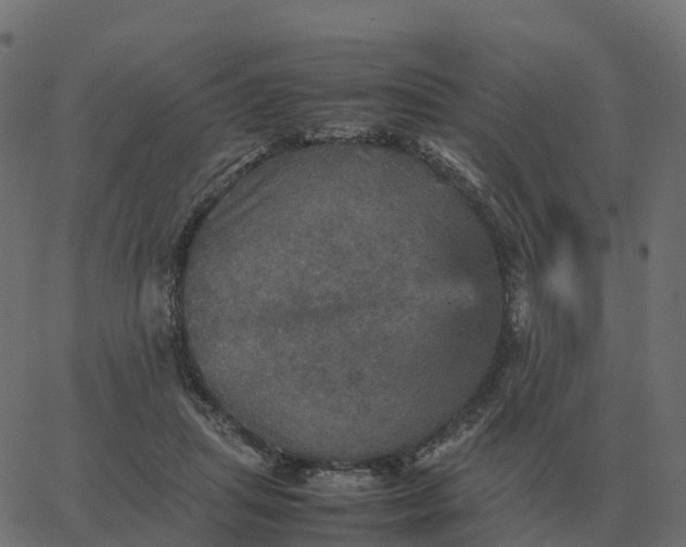 X0000067890455200604271831