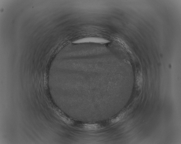 X0000067890457200604271831