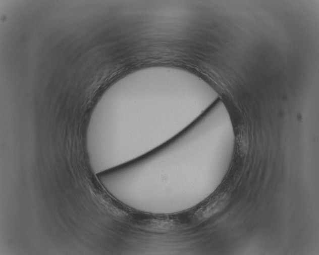 X0000067890458200604271831