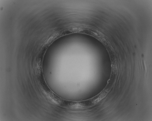 X0000067890460200604271831