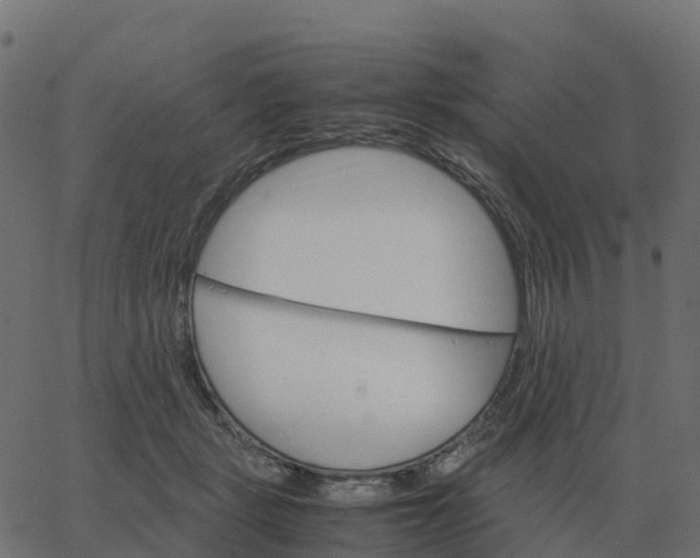 X0000067890461200604271831