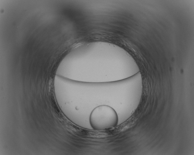 X0000067890463200604271831