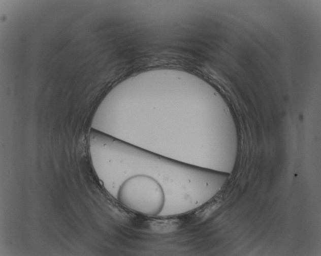 X0000067890465200604271831