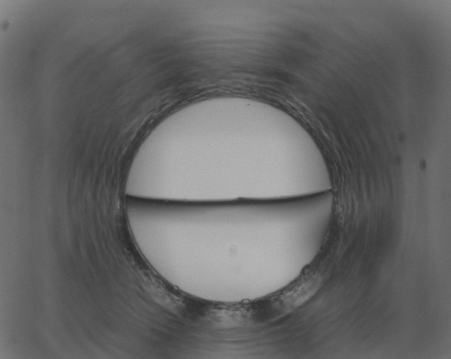 X0000067890466200604271831