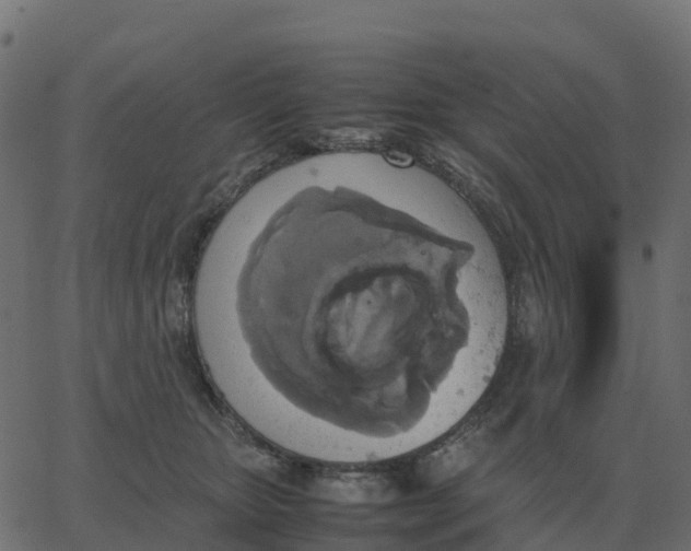 X0000067890467200604271831