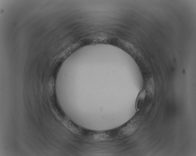 X0000067890468200604271831