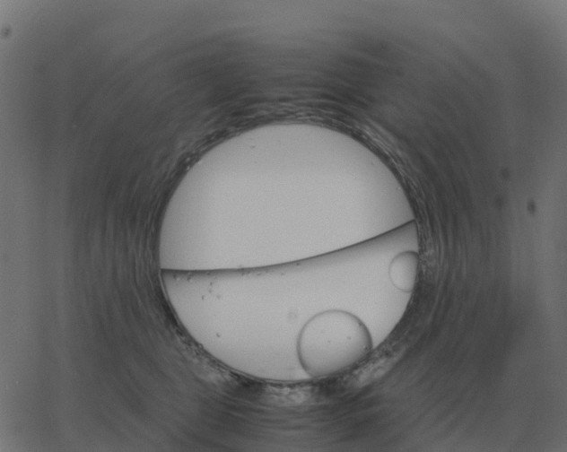 X0000067890469200604271831