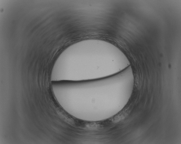 X0000067890470200604271831