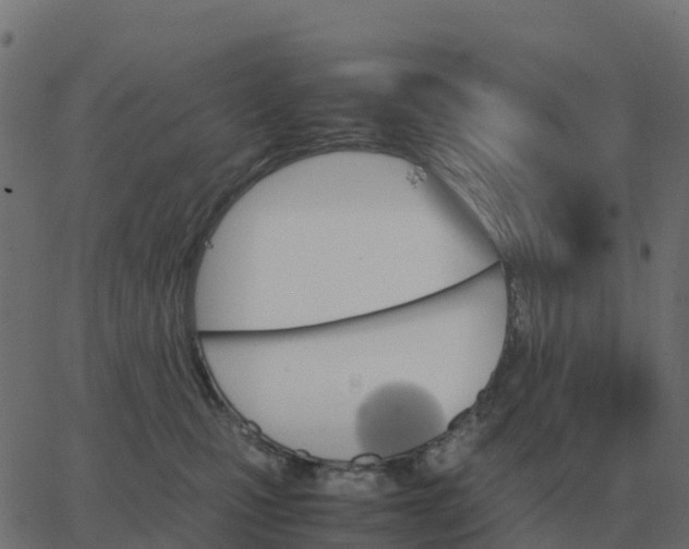 X0000067890471200604271831