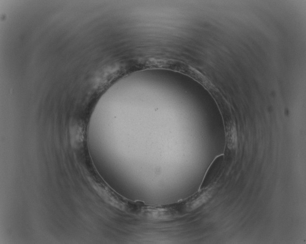 X0000067890472200604271831