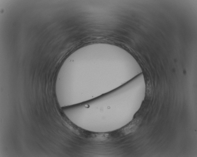 X0000067890474200604271831