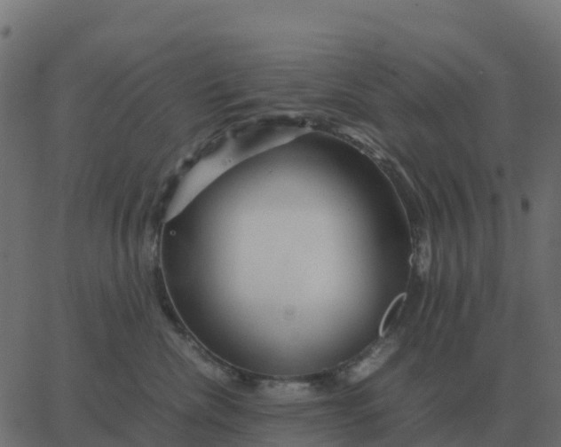 X0000067890476200604271831