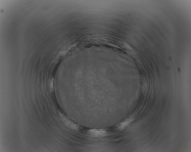 X0000067890477200604271831