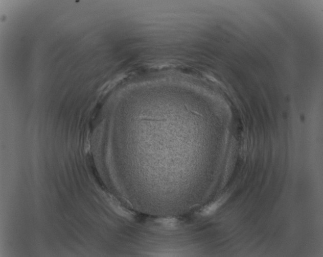 X0000067890478200604271831