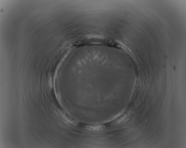 X0000067890479200604271831