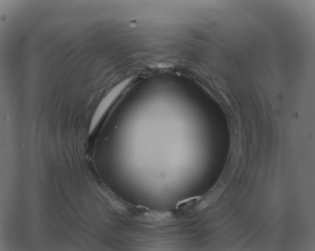 X0000067890480200604271831