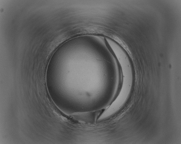 X0000067890481200604271830