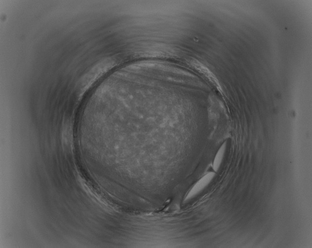 X0000067890482200604271830