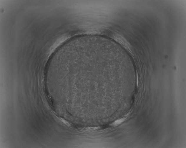 X0000067890483200604271830