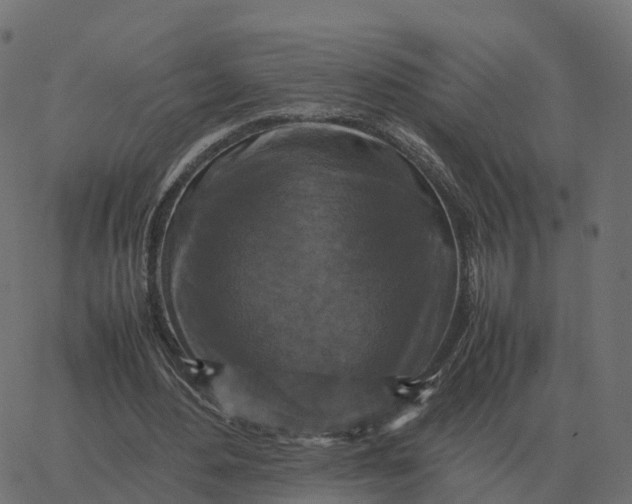 X0000067890484200604271830