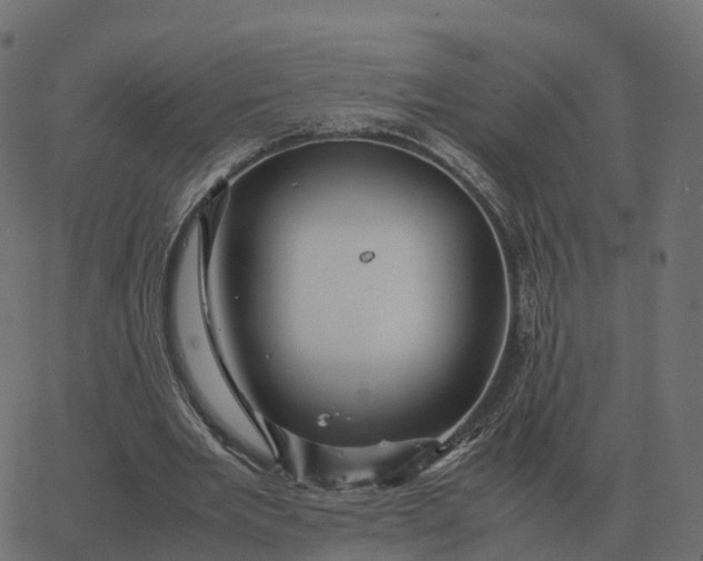 X0000067890485200604271830