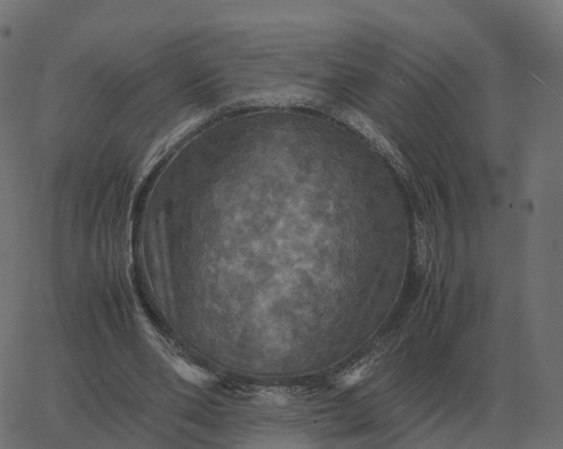 X0000067890486200604271830