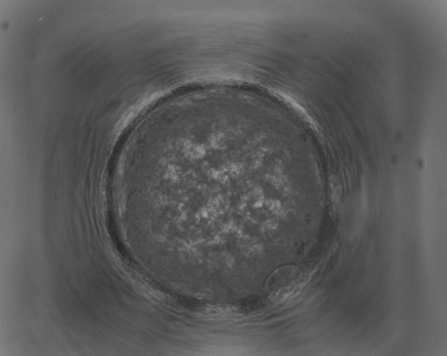 X0000067890487200604271830