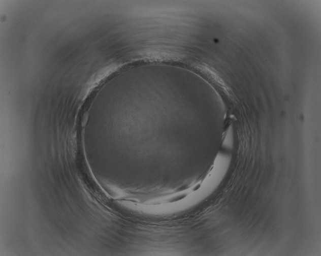 X0000067890488200604271830