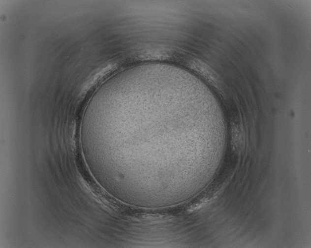 X0000067890490200604271830