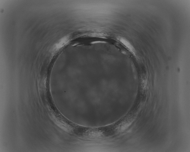 X0000067890491200604271830