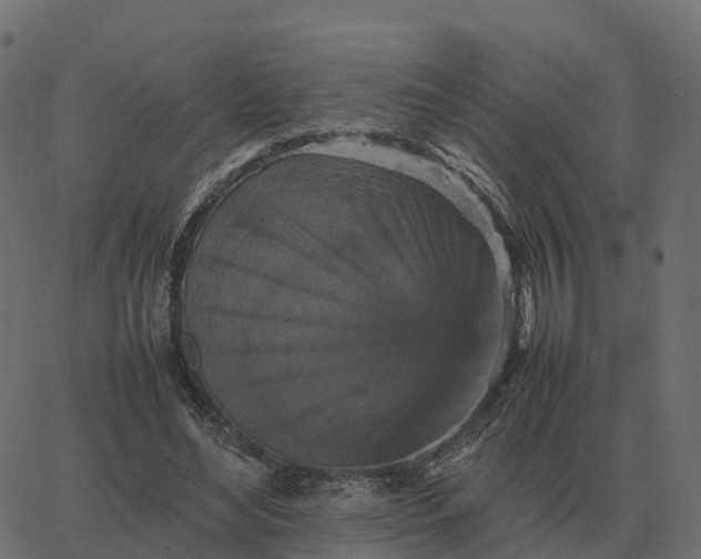 X0000067890492200604271830