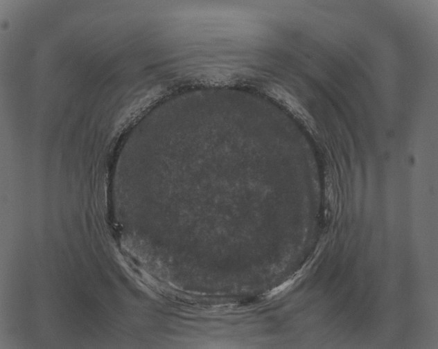 X0000067890493200604271830