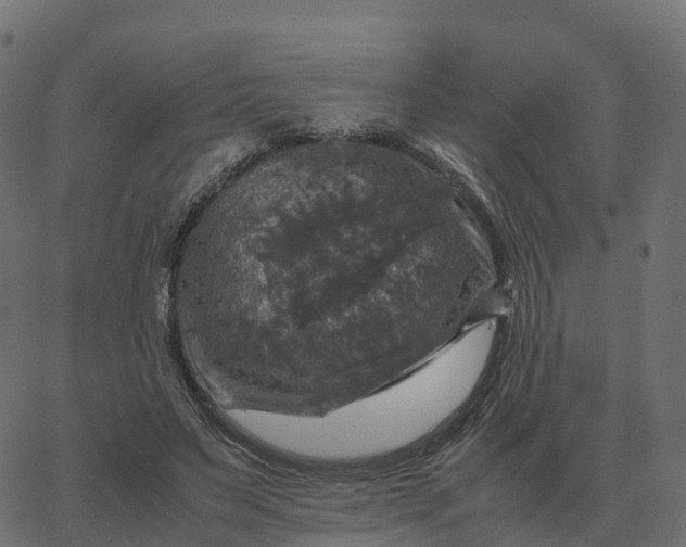 X0000067890495200604271830