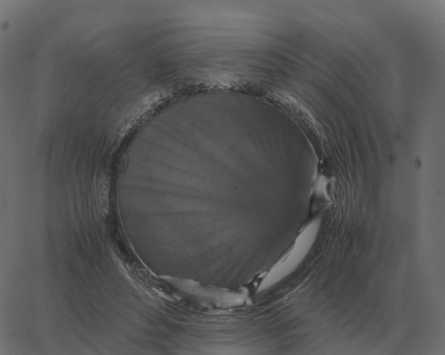 X0000067890496200604271830