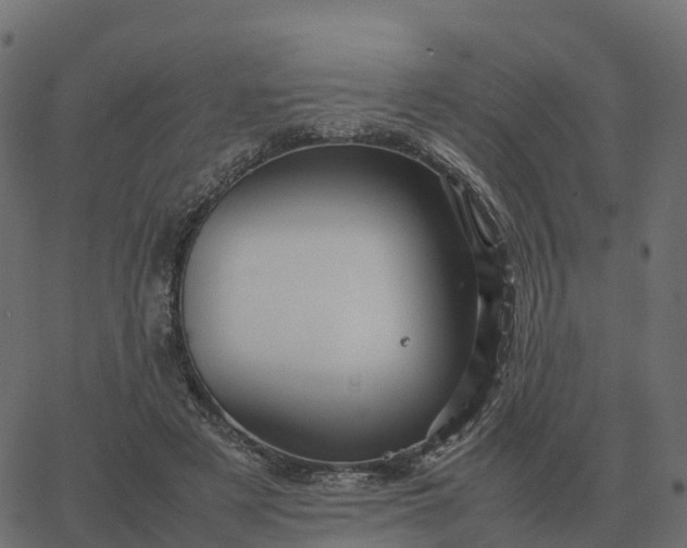 X0000067890497200604271830