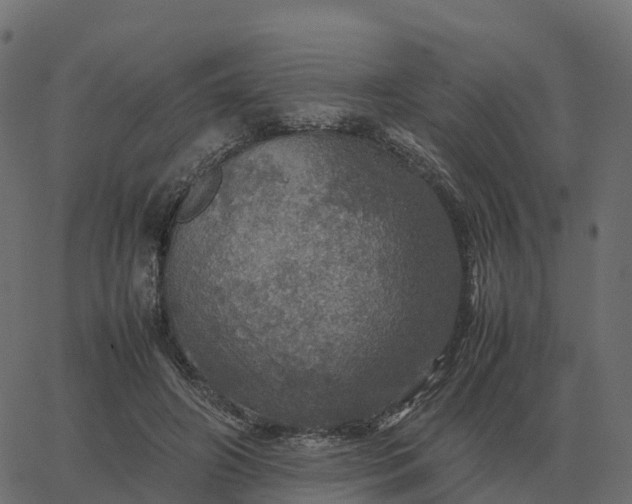 X0000067890498200604271830