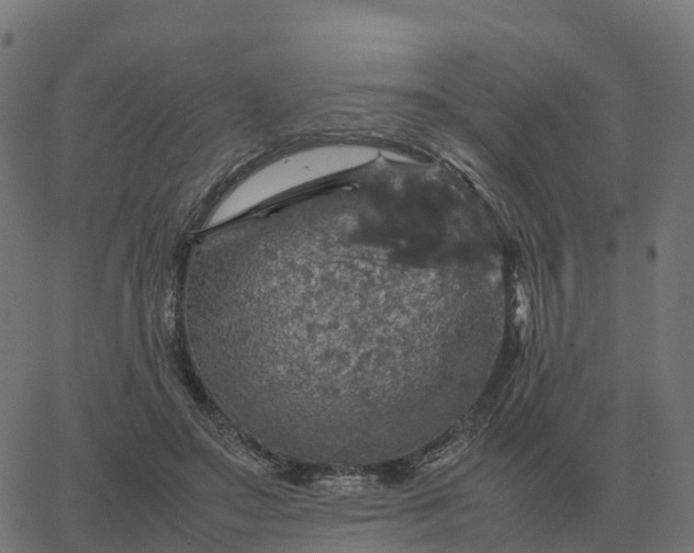 X0000067890499200604271830