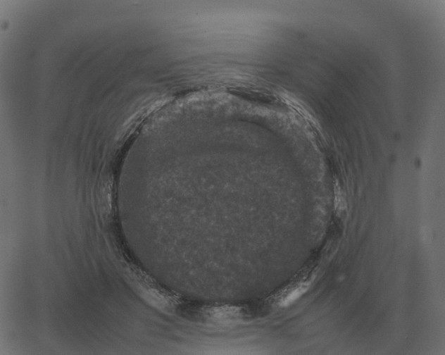 X0000067890501200604271830